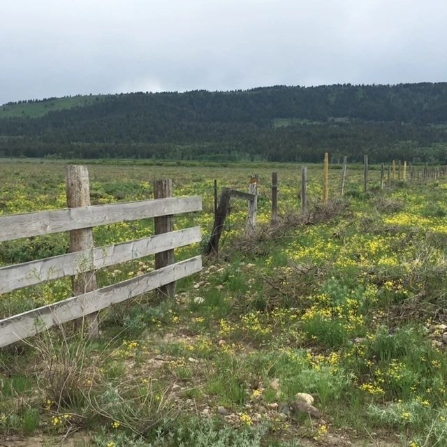 Montana ranch fence landscape